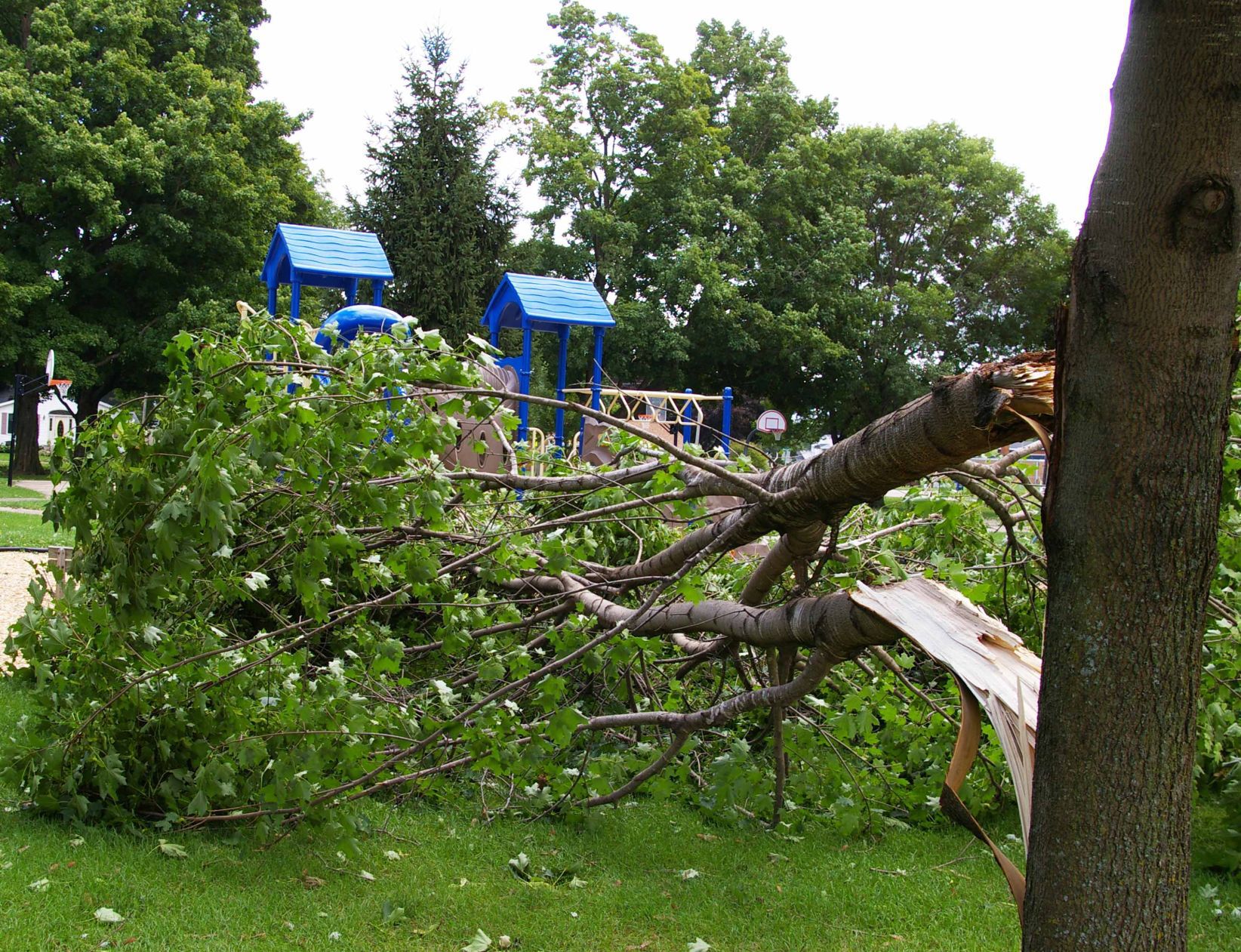 WAUPUN STORM RECOVERY (copy)
